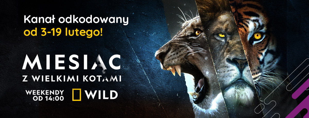 Oglądaj National Geographic Wild w JMDI - otwarte okno w lutym